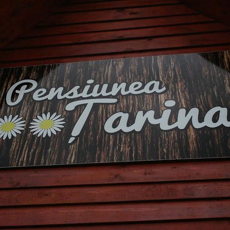 Pensiunea Tarina Suncuius Εξωτερικό φωτογραφία