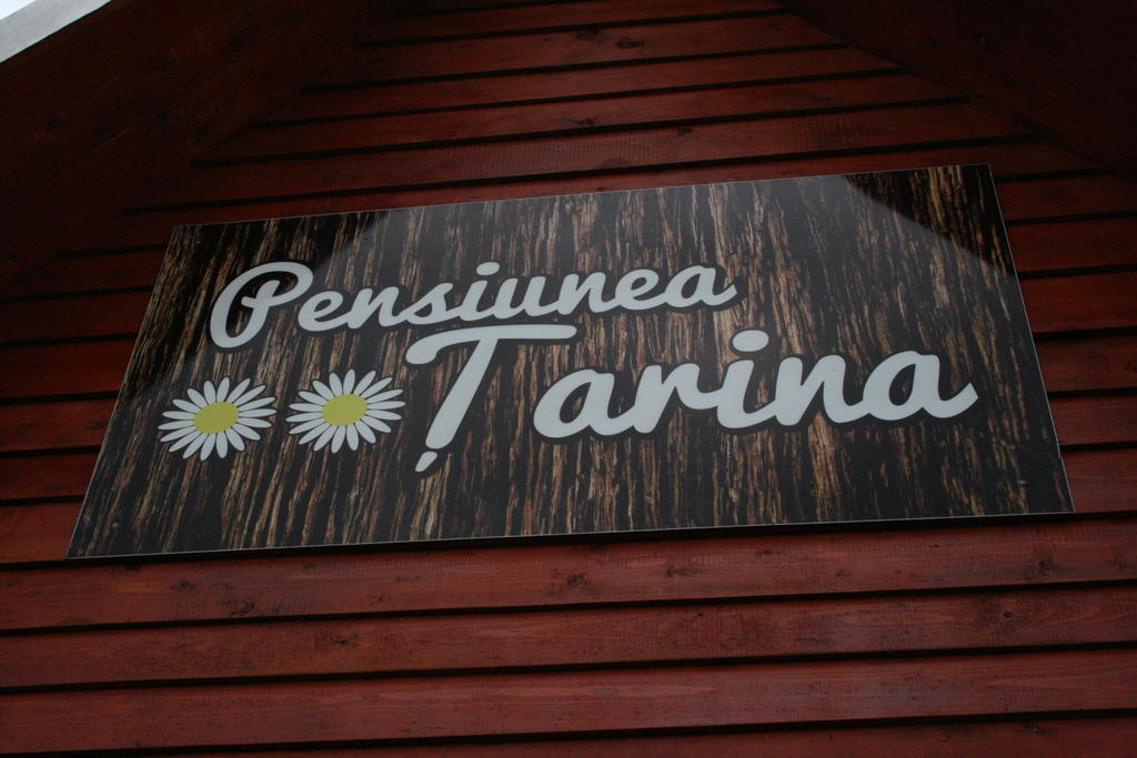 Pensiunea Tarina Suncuius Εξωτερικό φωτογραφία