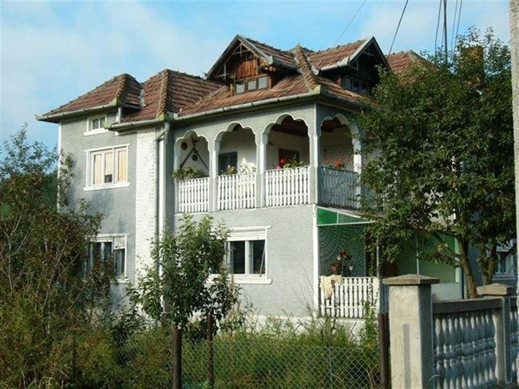 Pensiunea Tarina Suncuius Εξωτερικό φωτογραφία