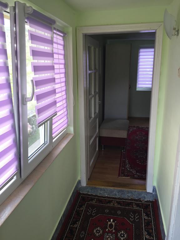 Pensiunea Tarina Suncuius Εξωτερικό φωτογραφία