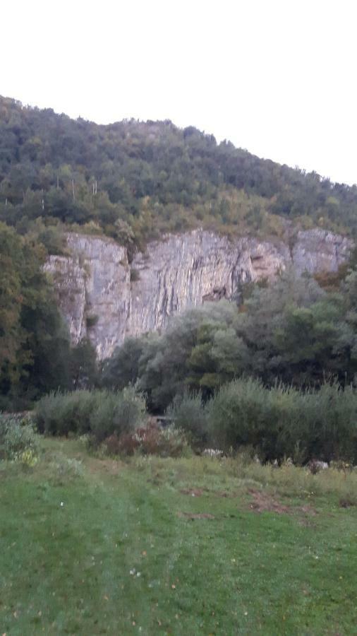 Pensiunea Tarina Suncuius Εξωτερικό φωτογραφία